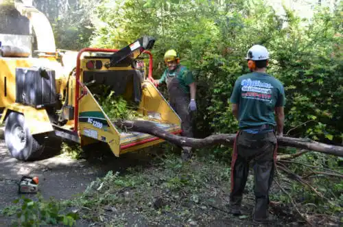 tree services Woodbury Center